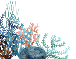 en dessous de océan la vie élément avec aquarelle peint , corail récif png