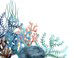 under ocean life element with watercolor painted , Coral reef png