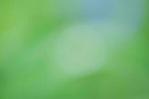 Green abstract background blurred natural. Bokeh, defocus background. photo