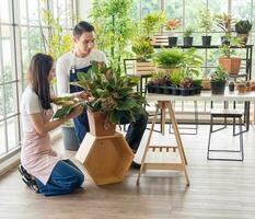 Gardener young Asian man woman two person sit floor and smiling looking hand holding help decorate the tree leaf green in calm work shop home plant white wall. hobby job happy and care concept photo