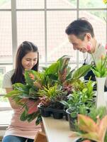 jardinero joven hombre asiático mujer dos personas sentarse piso y sonriendo mirando mano sosteniendo ayuda decorar el árbol hoja verde en calma taller casa planta pared blanca. hobby trabajo feliz y cuidado concepto foto