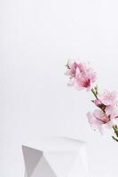 podio o pedestal para productos cosméticos producto decorado con Cereza florecer leña menuda. cosmético modelo foto