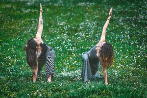 Female couple in a sports yoga practice photo