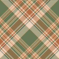 Plaid pattern vector. Check fabric texture. Seamless textile design for clothes, paper print. vector