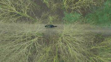 A Horse Rider on a Hack Through Woodland Path Bird's Eye View video