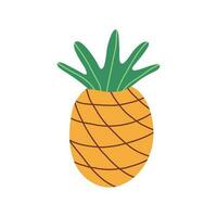 piña fruta. verano frutas para sano estilo de vida. mano dibujado bosquejo. vector dibujos animados plano ilustración.