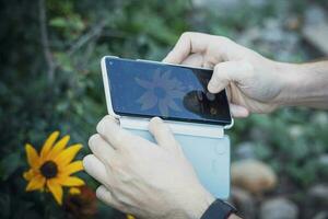 amarillo flores fotografiando un móvil teléfono retenida por masculino manos en el jardín en un verano día foto