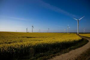 landscape with a field of yellow rape with a blue cloudless sky and ecological wind farms photo