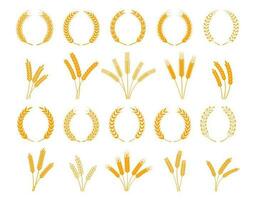 Laurel wreath, spikes of wheat, rye or barley ears vector