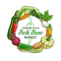 Farm vegetables and veggies sketch food vector