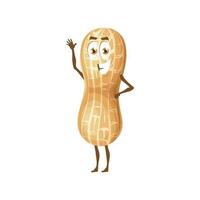 Funny peanut or groundnut character personage vector