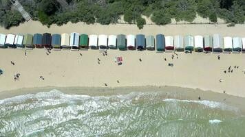 vogel oog visie van de dendy straat strand hutten in Brighton Melbourne video