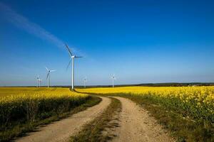 landscape with a field of yellow rape with a blue cloudless sky and ecological wind farms photo