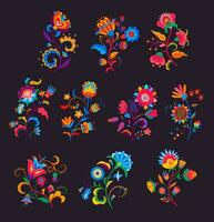 Mexican flowers or florals, bright blooming plants vector