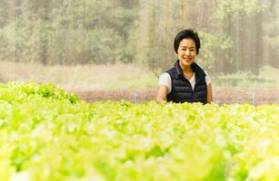 contento mujer granjero en pie en hidropónico orgánico vegetal granja. foto