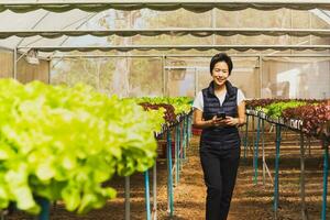 retrato de contento mujer granjero en pie en orgánico vegetal granja y utilizando inteligente teléfono. foto