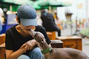 Greyhound dog kissing a beautiful woman owner outdoors. photo