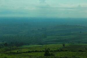 aerial view with beautiful green hills landscape.  a meadow with a cloud shadow and a distant layer of mountains in the air mist photo