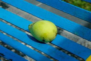 de cerca Disparo de un mango Fruta en contra un azul metal antecedentes foto