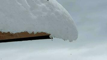 närbild av snö smältande, snö bakgrund video