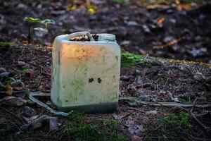 White semitransparent dirty canister standing on forest leafy ground in sunset light shining through photo