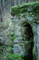 Open dark spooky entrance to the mossy catacomb with peeling concrete covered with green pants in forest photo