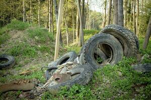 Old big vehicle tires left abandoned in green spring forest on sunny day photo