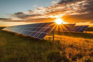 Solar panels in a field in sunset, photo