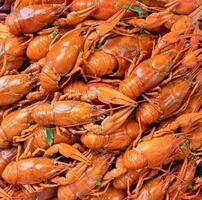 top view of cooked crawfish with lemons and spices photo