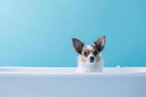 Lavado mascota. linda perro en bañera en azul antecedentes. generativo ai foto