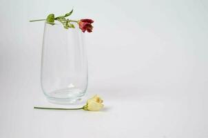 Two flowers and the glass on the white background. Space for text. photo