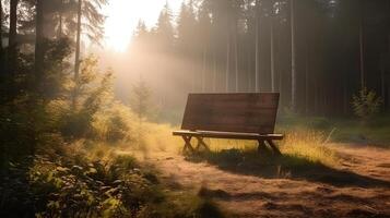 empty wooden plank in the middle of the forest at morning , photo