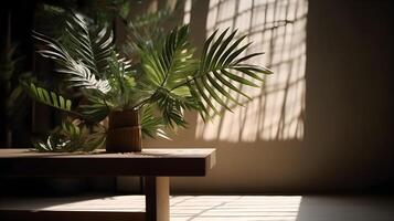 Summer tropical natural concept room interior , photo