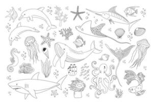 Set with hand drawn sea life elements. Vector outline set of ocean objects. Beautiful underwater world in line style. Fish, shark, jellyfish, octopus, dolphins, shells, seaweed and corals on white.