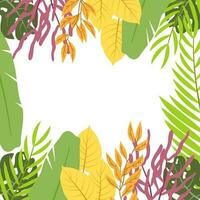 A frame of tropical leaves with a white background vector