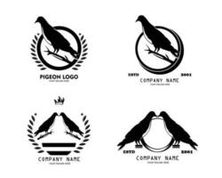 Set of vector design pigeon logo collection