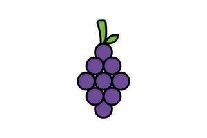 Grapes fruit icon illustration. icon related to fruits. Flat line icon style, lineal color. Simple vector design editable