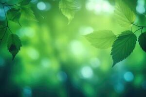 Fresh and green leaves green bokeh on blurred green background. Mock up. photo