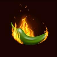 Jalapeno chili pepper in fire, Mexican cuisine vector