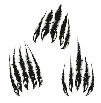 Angry bear claw marks and scratches, animal attack