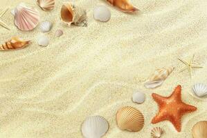 Beach top view realistic wallpaper with shells vector