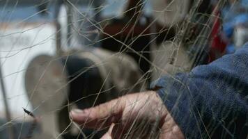 Fisherman is Repairing Fishnets on Fishing Boat in Dock video