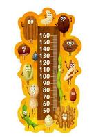 Kids height chart with cartoon nuts characters vector