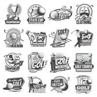 Golf sport icons of balls, clubs, tee, holes, flag vector