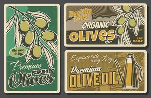 Olive branch and oil bottle retro banners of food vector