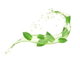 Green mint leaves and herbal tea wave round splash vector