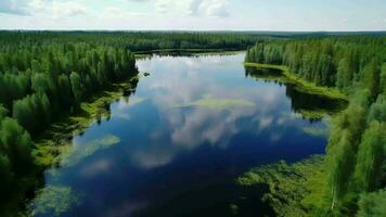 in de lucht zien van blauw water meer en groen zomer bossen in Finland. video