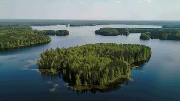 Airborne see of blue water lake and green summer woods in Finland. video