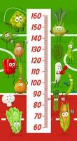 Kids height chart with cartoon vegetable athletes vector