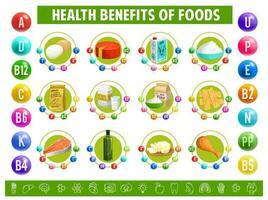 Chart table content of vitamins minerals in food vector